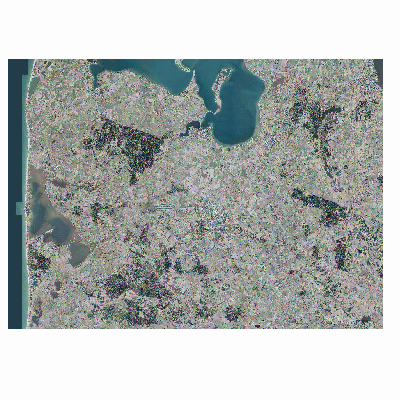 Export Image